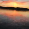 oscar_monsen
