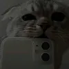 user4246051959985