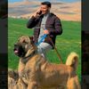 seyhmus_boy47