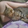 novakitty44