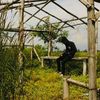 obeeng024