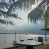mawardahlia80