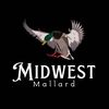 midwest_mallard