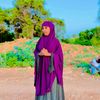 mss.awdiile