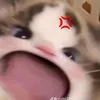userdb9jdoay0a