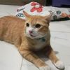 halahbunsom