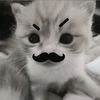 mynameisjaywalker1