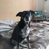 filip941128