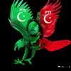 nifazafridi667