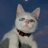 vincebrian3