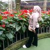 anjismawati
