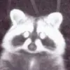 meowmeowprincess666