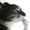 sbsydu