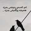 sara579m0