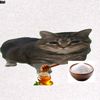 dhim_d