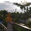 nurullaisyah89