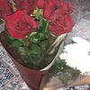 gul_nara81
