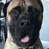 Kita & Moose