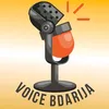 Voice_bdarija