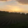 jd4177jd