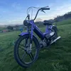 user6940477233181