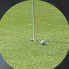golfing_with_geebz