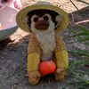 crazylazy_monkey