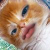 yyaaaaaaaaaaaaa....a