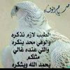 user1wm29prk52