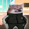 edit_war_0