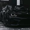 tepelena_111