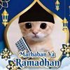 alwialhamid4