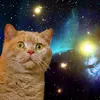lollotronic