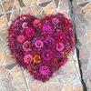 nonymus_987