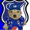 elhinchademillos11