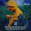 s1_adul_thea