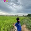 sieupao1206