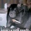 winston_201012