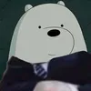 polarbon_nta