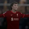 rexer.ftbl
