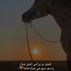 noura_5456