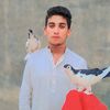 zeshan_baloch33