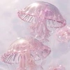 jellyfish_fish200