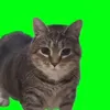 GreenscreenKey