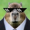 capybara2832gg