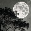 hana.mohamed5475