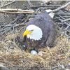 eaglesnestpsycho