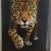 esteban.rodriguez561