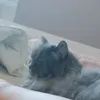 ebbacanyounotxx