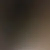 languyensg